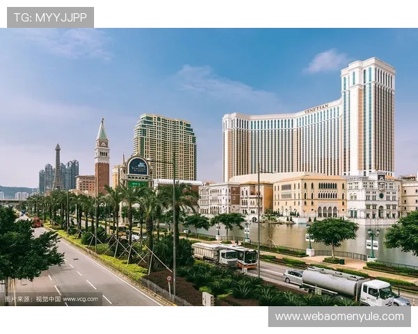 澳门赌场不同年龄段玩家比例：数据统计与未来发展预测