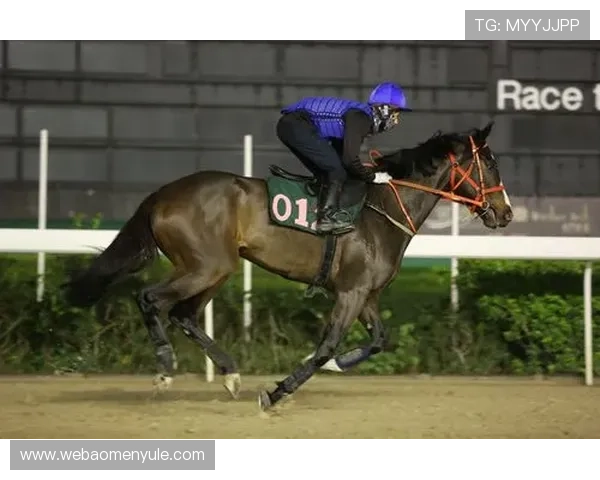 澳门赛马今天直播比赛结果实时更新与赛马精彩瞬间