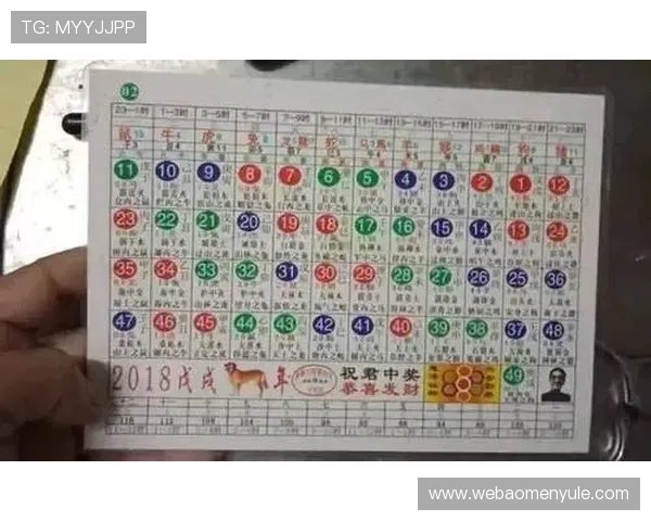 金沙六合彩玩法介绍与规则详解，助你轻松掌握各种投注方式