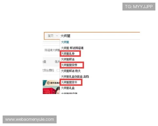 澳门彩网站登录入口全面指南，确保您的账号安全与顺畅体验